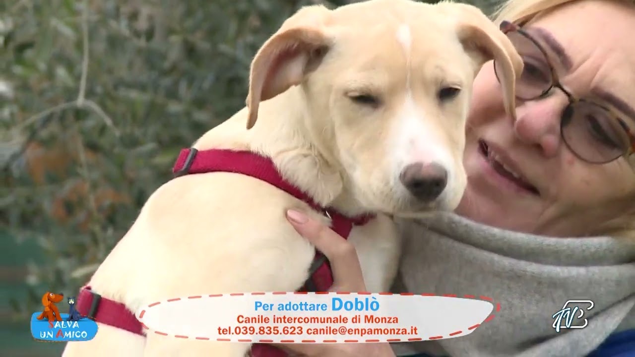 SALVA UN AMICO -  19 DICEMBRE 2022