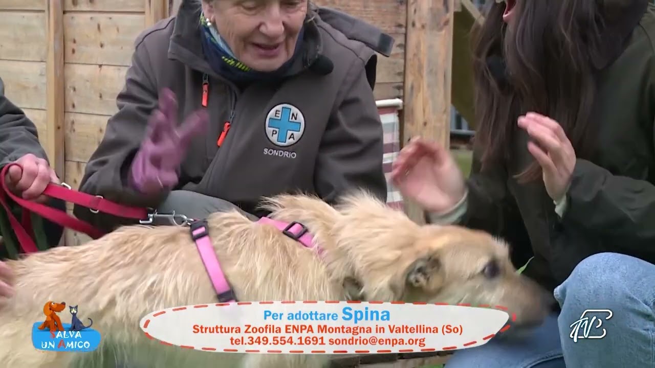 SALVA UN AMICO - 12 GENNAIO 2023