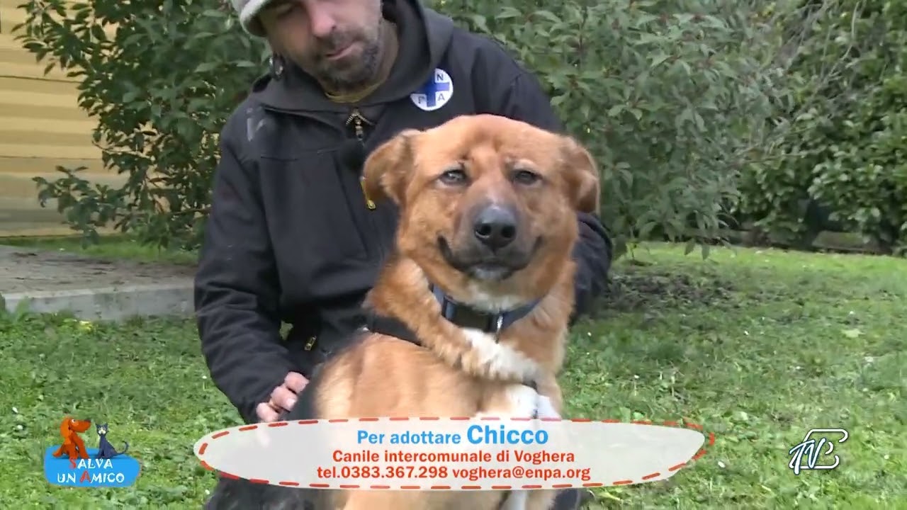 SALVA UN AMICO - 2 FEBBRAIO 2023