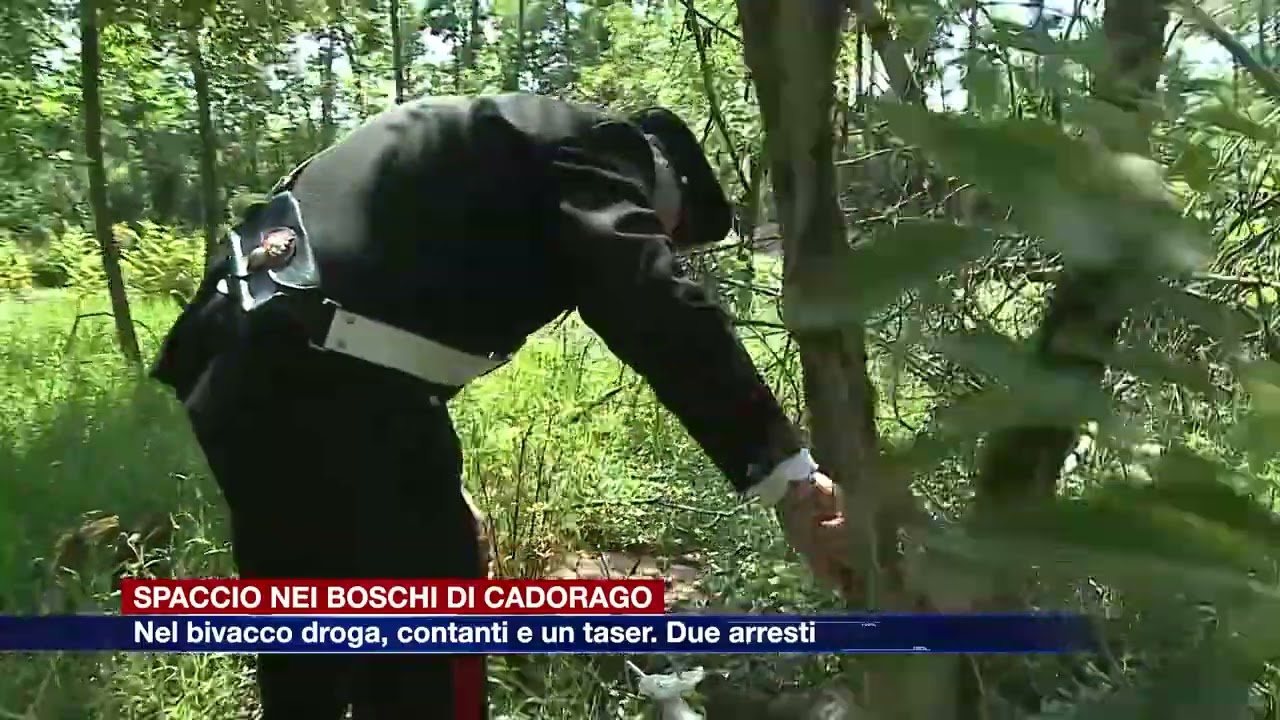 Etg - Spaccio nei boschi di Cadorago: nel bivacco droga, soldi e un taser. Due arresti