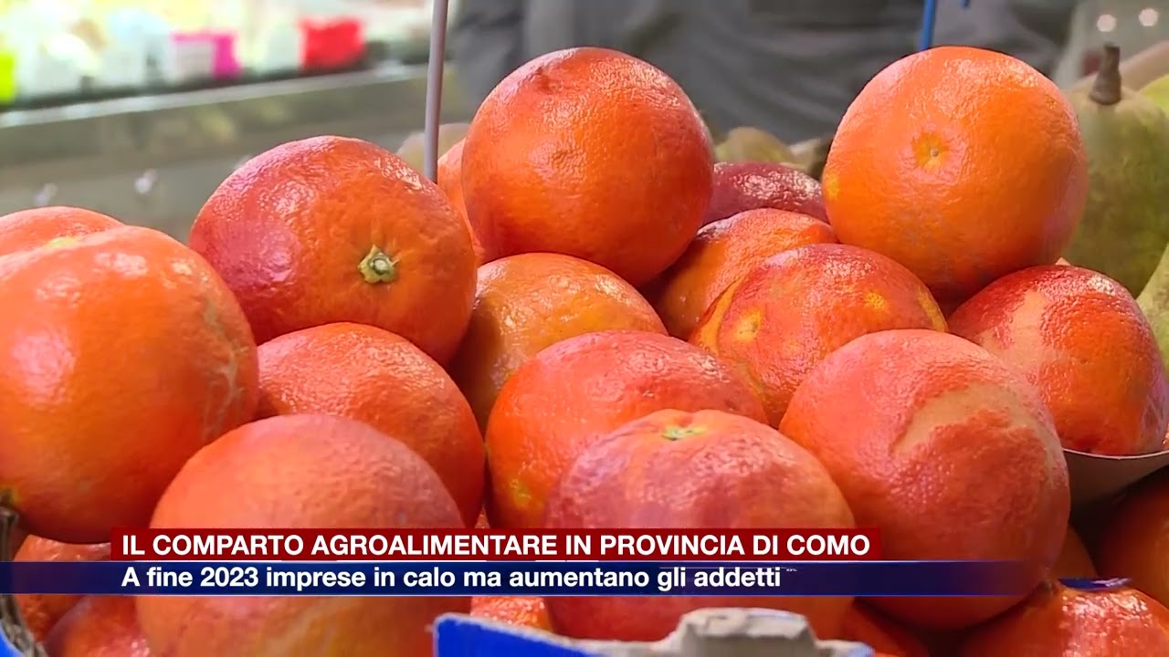 Etg- Il comparto agroalimentare in provincia di Como: nel 2023 imprese in calo ma addetti in aumento