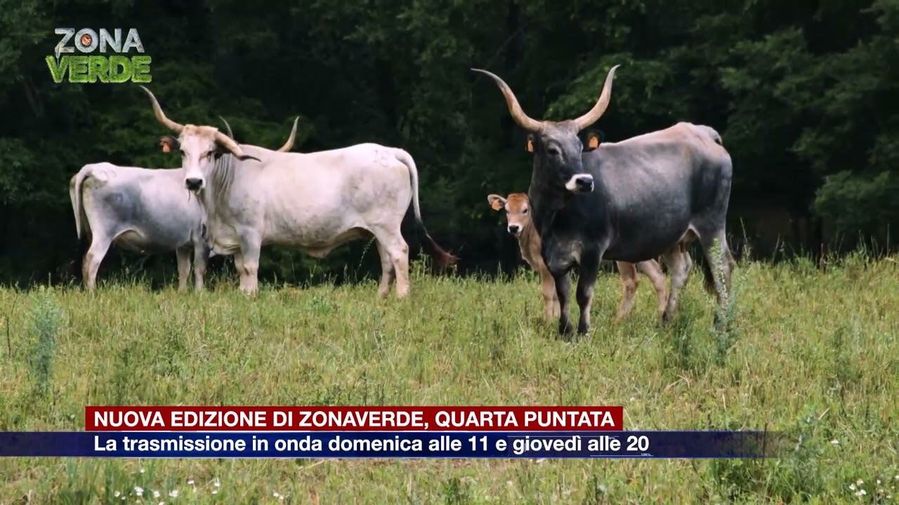 Etg - Quarta puntata della nuova edizione di Zonaverde, il viaggio prosegue in Toscana