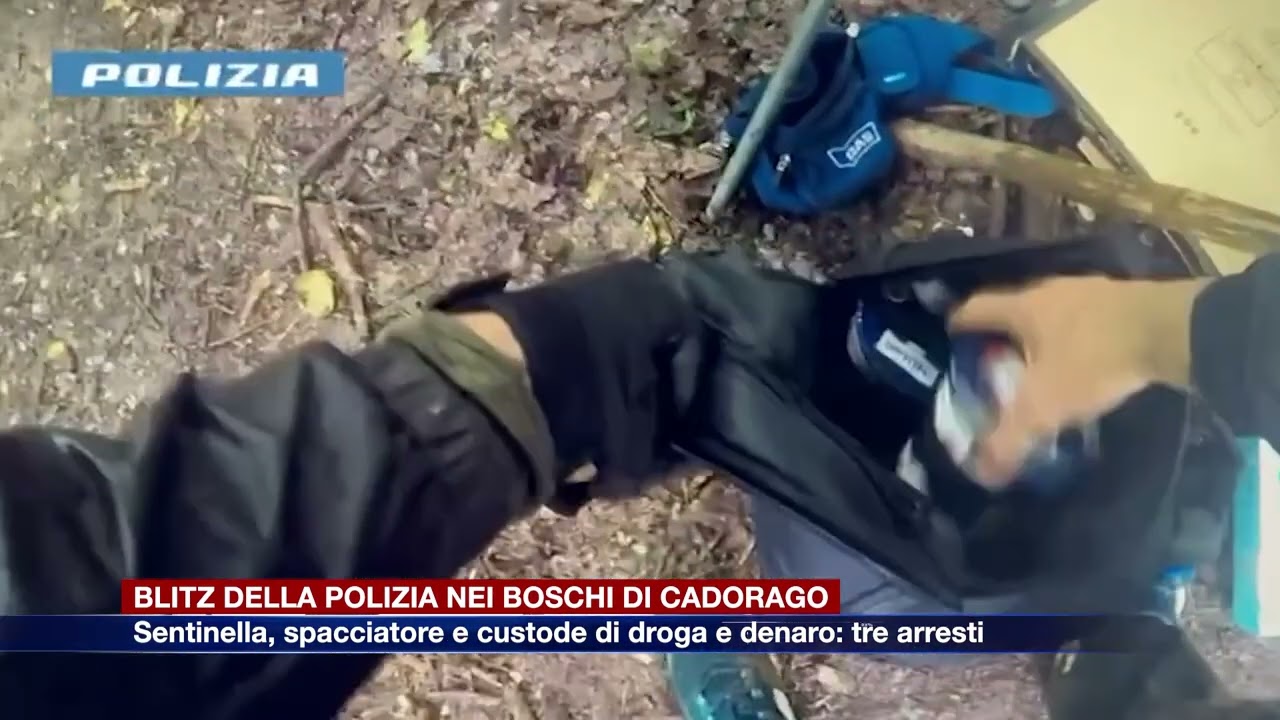 Etg - Sentinella, spacciatore e custode di droga e denaro: tre arresti nei boschi di Cadorago