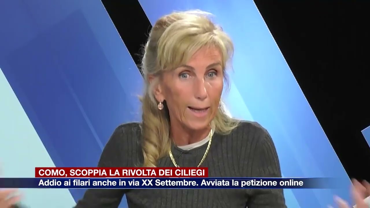 Etg - Como, la rivolta dei ciliegi: addio ai filari in via XX Settembre. Lanciata una petizione