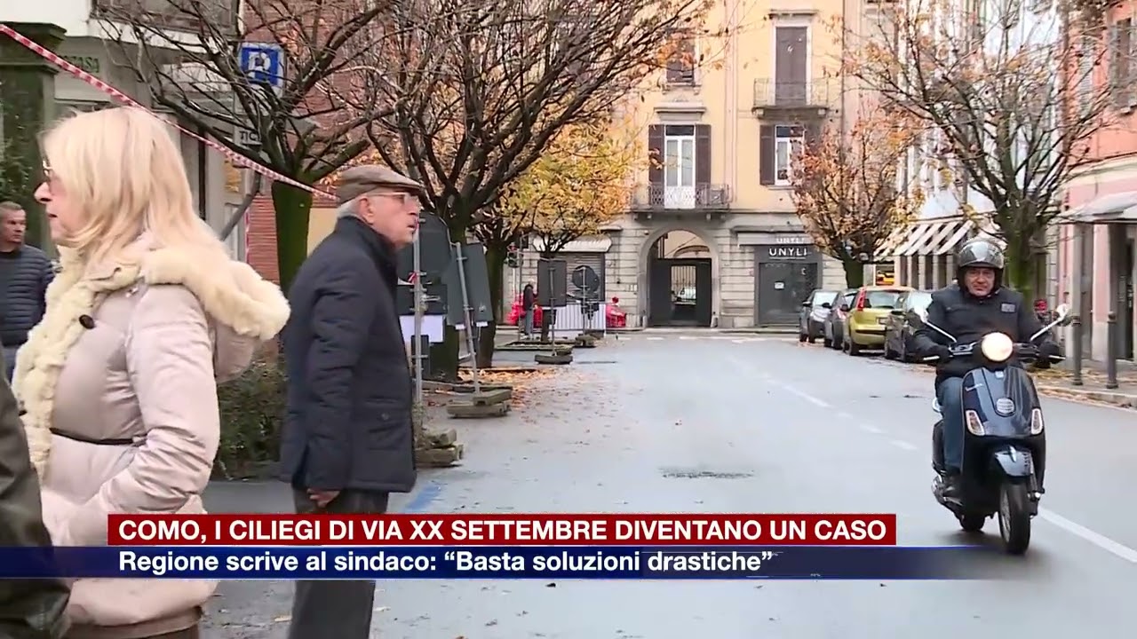 Etg - Como, i ciliegi di via XX Settembre diventano un caso. Regione chiede un confronto al sindaco