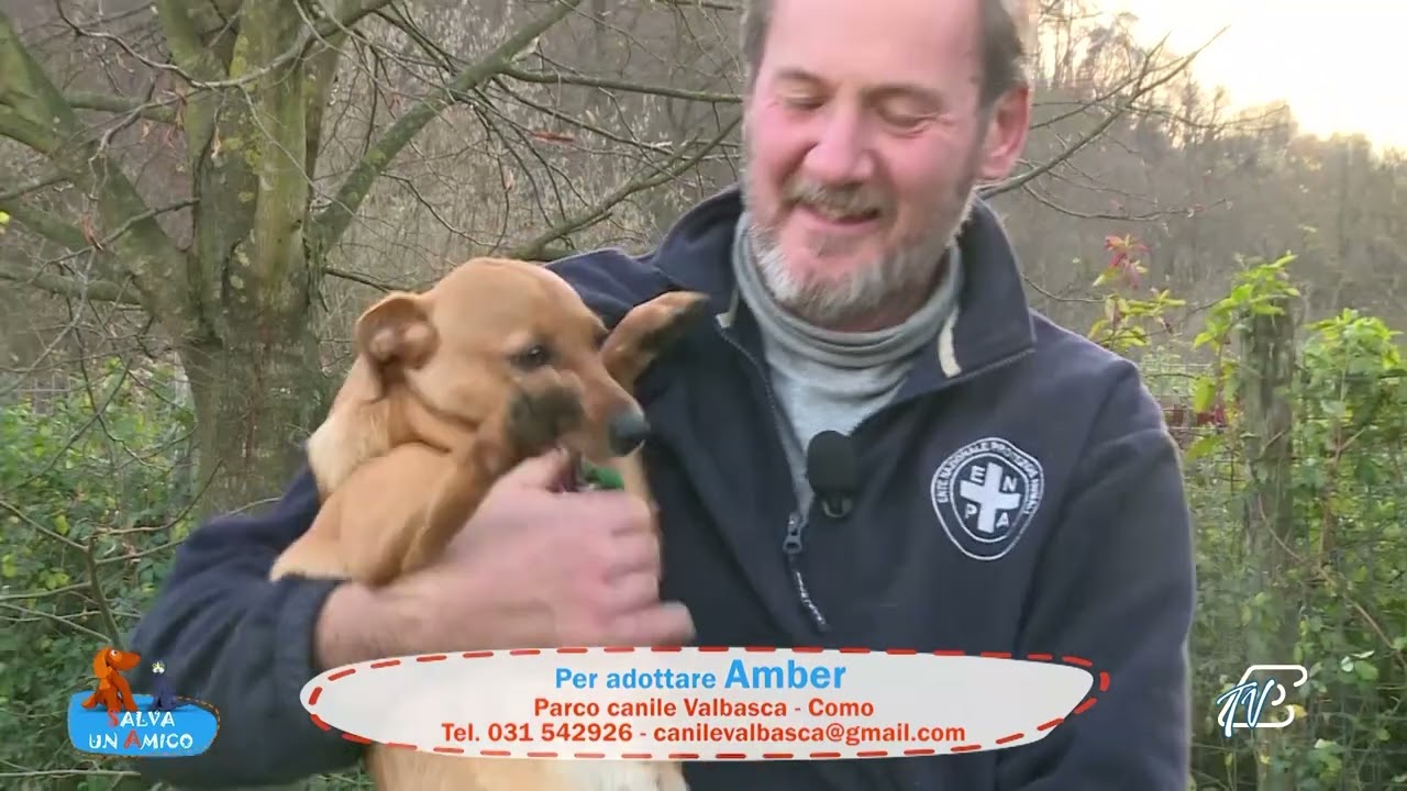 SALVA UN AMICO - 21 NOVEMBRE 2025