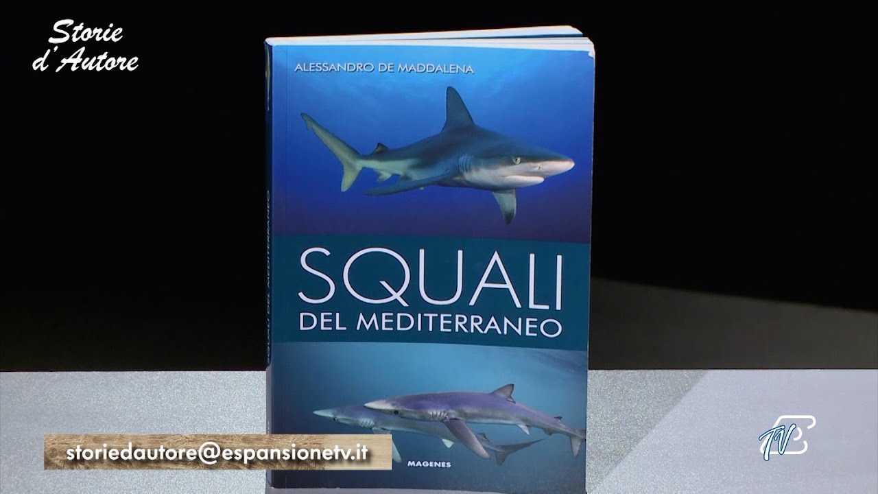 STORIE D'AUTORE - 29 NOVEMBRE 2025