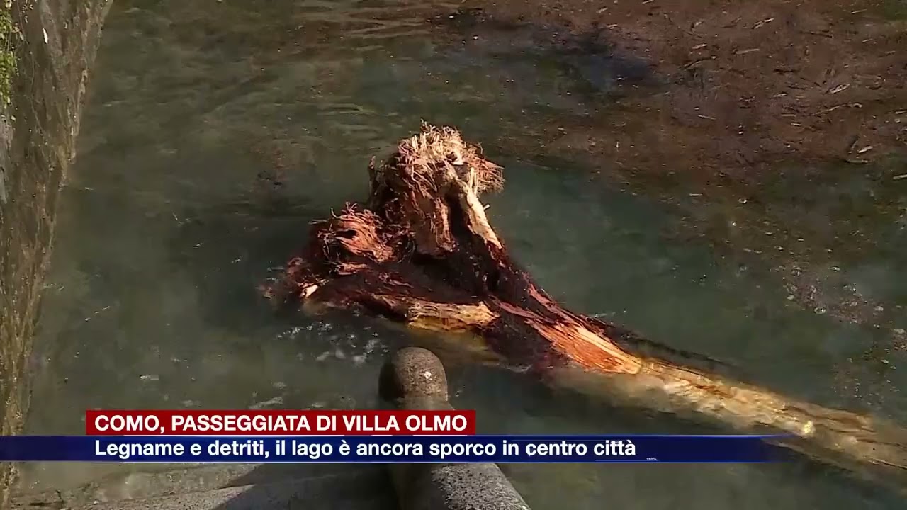 Etg - Como, passeggiata di Villa Olmo. Legname e detriti, il lago è ancora sporco in centro città
