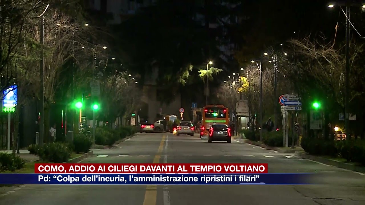 Etg - Como, addio ai ciliegi al Tempio Voltiano. Pd: “Colpa dell’incuria dell’amministrazione