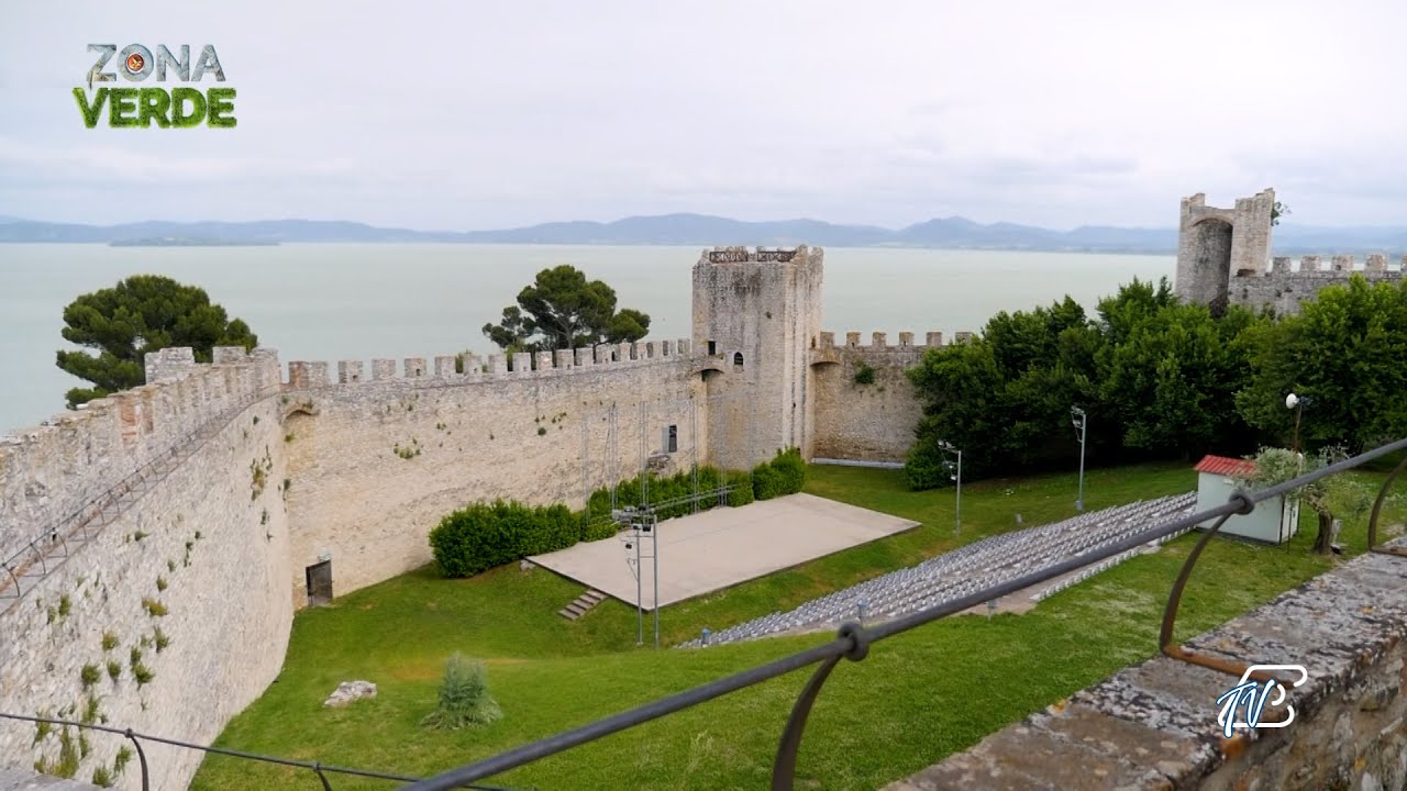 ZONAVERDE - PUNTATA 3 ST5