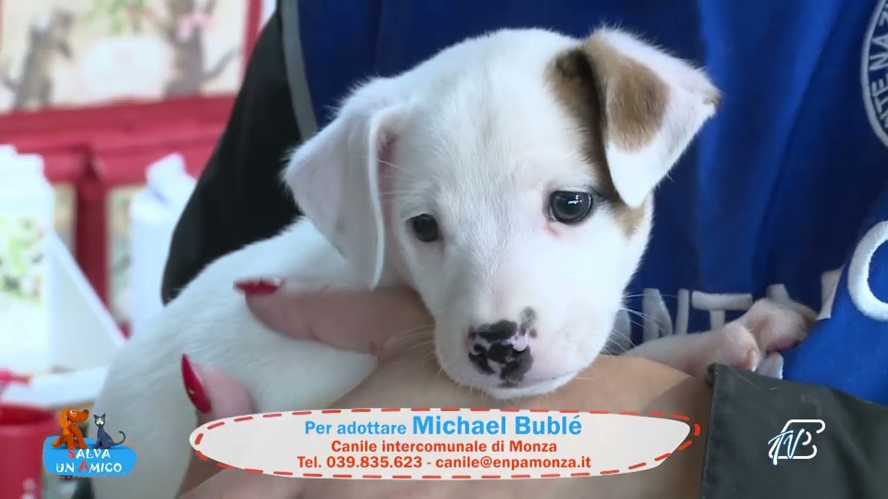 SALVA UN AMICO - 11 DICEMBRE 2025