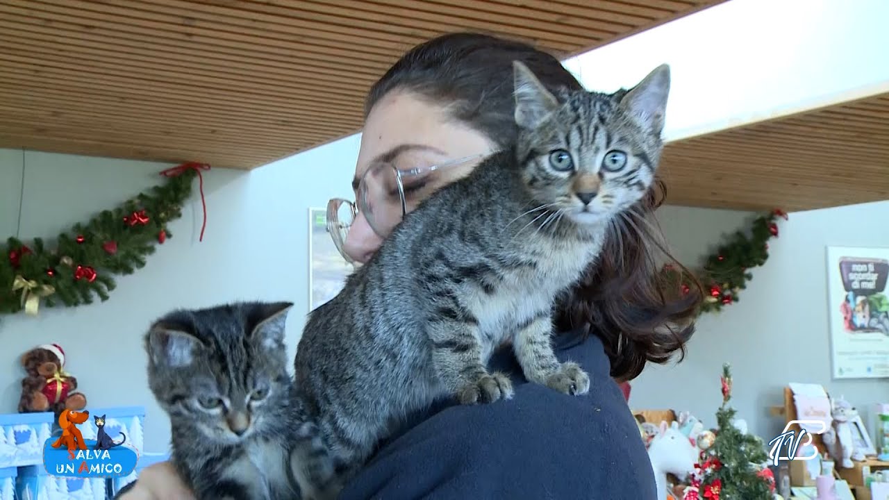 SALVA UN AMICO - 12 DICEMBRE 2025