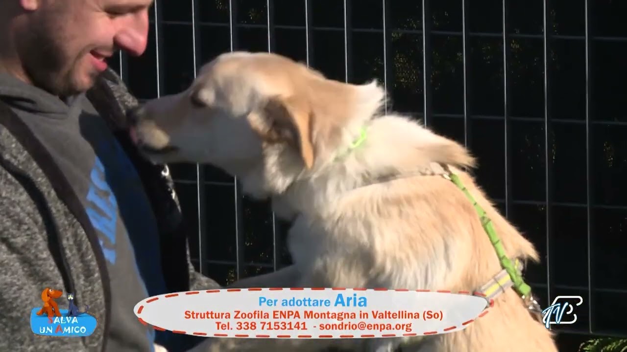 SALVA UN AMICO - 22 DICEMBRE 2025