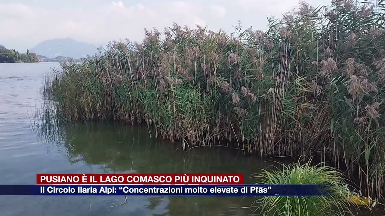 Etg - Brutte notizie per il lago di Pusiano: è il più inquinato del Comasco per la presenza di Pfas