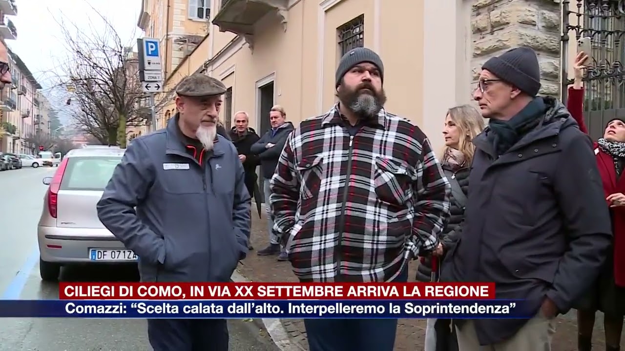 Etg - Ciliegi di via XX Settembre, arriva la Regione. Comazzi: “Interpelleremo la Soprintendenza”