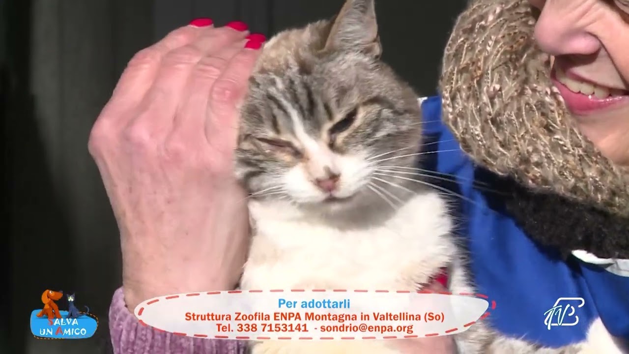 SALVA UN AMICO - 23 DICEMBRE 2025