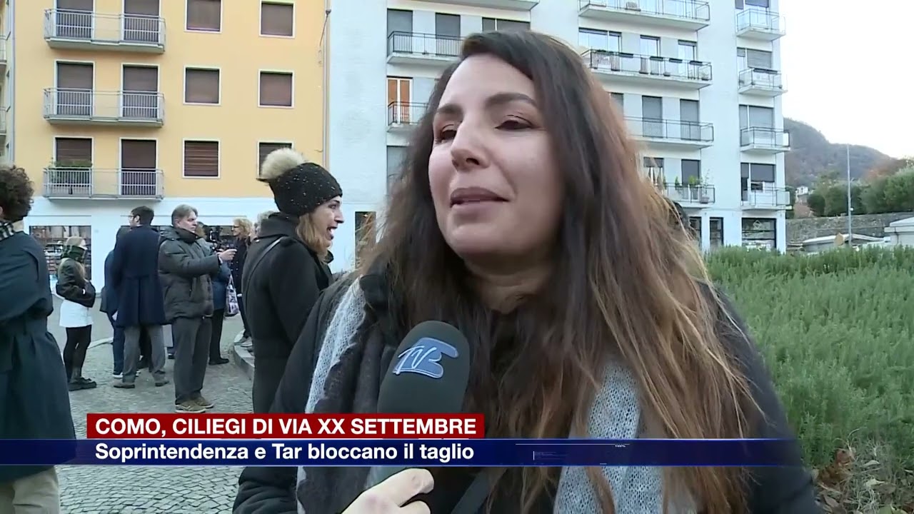 Etg - Como, ciliegi di via XX Settembre. Soprintendenza e Tar bloccano il taglio