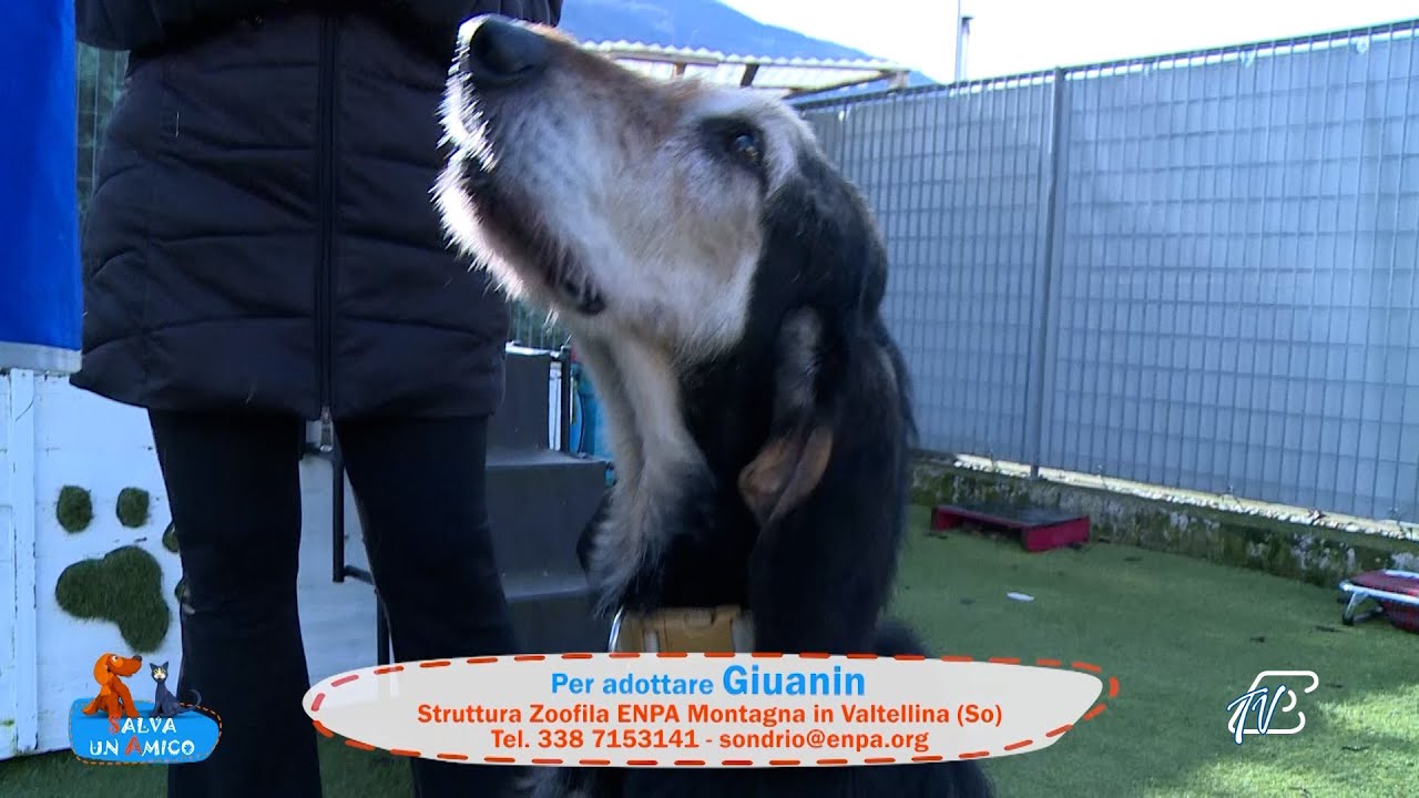 SALVA UN AMICO - 30 GENNAIO 2026