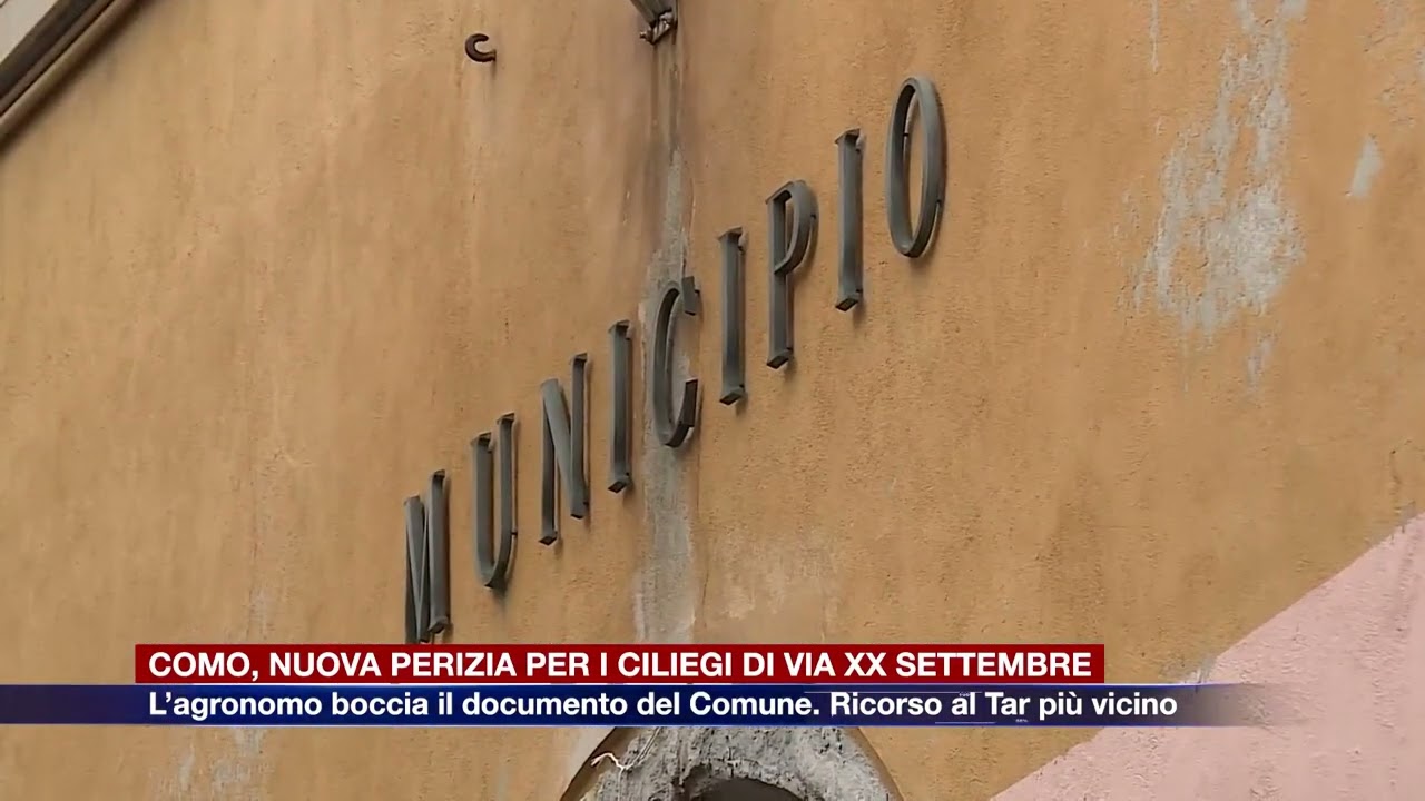 Etg - Como, nuova perizia per i ciliegi di via XX Settembre. Ricorso al Tar più vicino