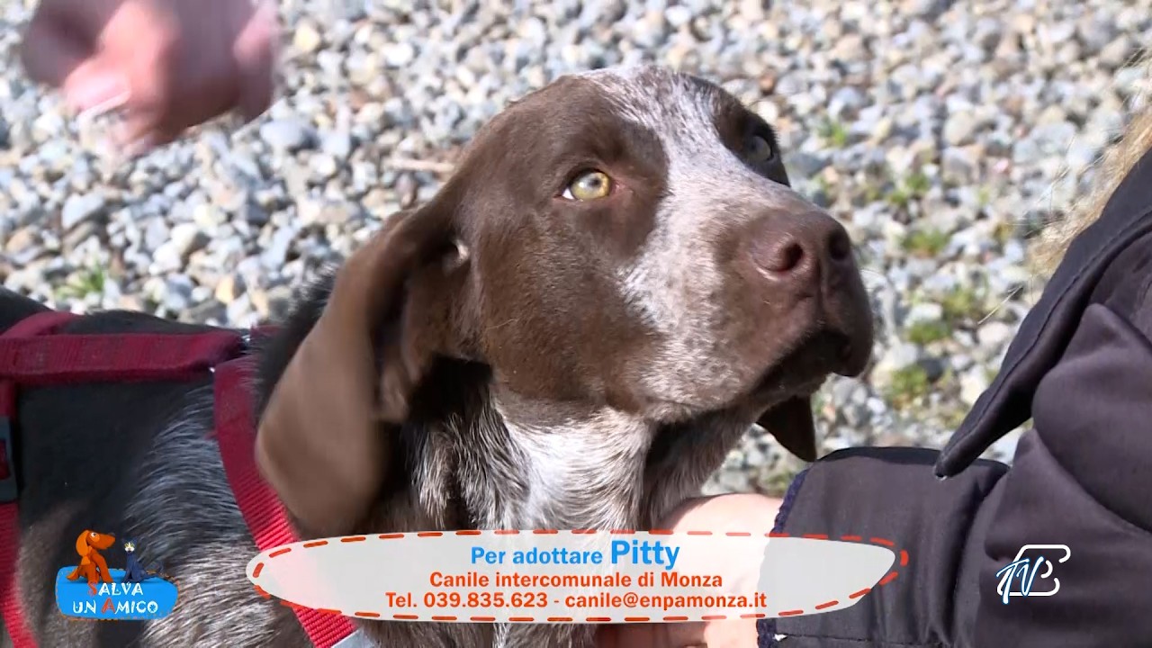 SALVA UN AMICO - 9 FEBBRAIO 2026