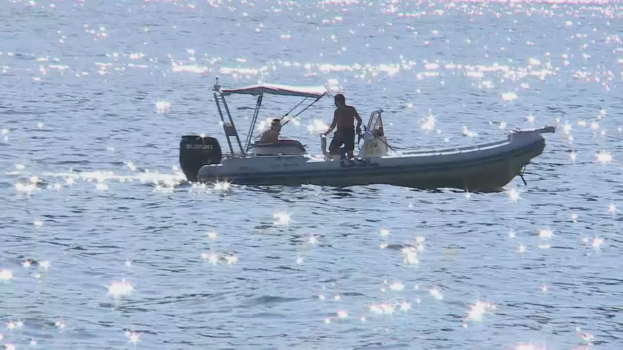 Stop alle specie invasive nel Lago di Como