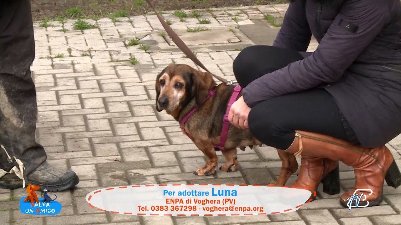 SALVA UN AMICO - 25 FEBBRAIO 2026