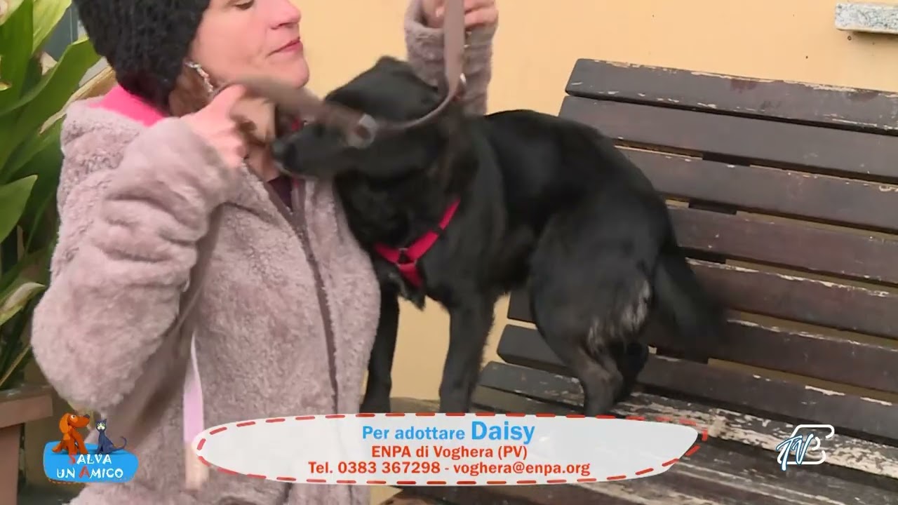 SALVA UN AMICO - 26 FEBBRAIO 2026