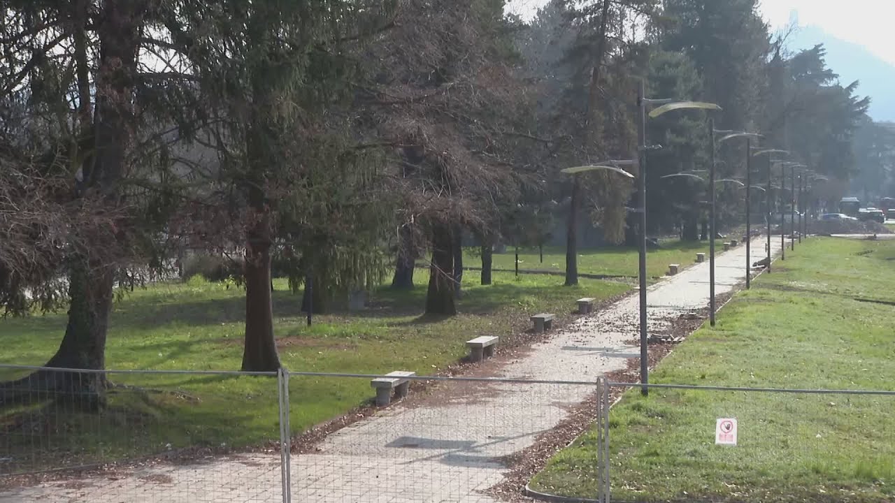Nuova battaglia sui ciliegi, ora tocca ai Giardini a Lago