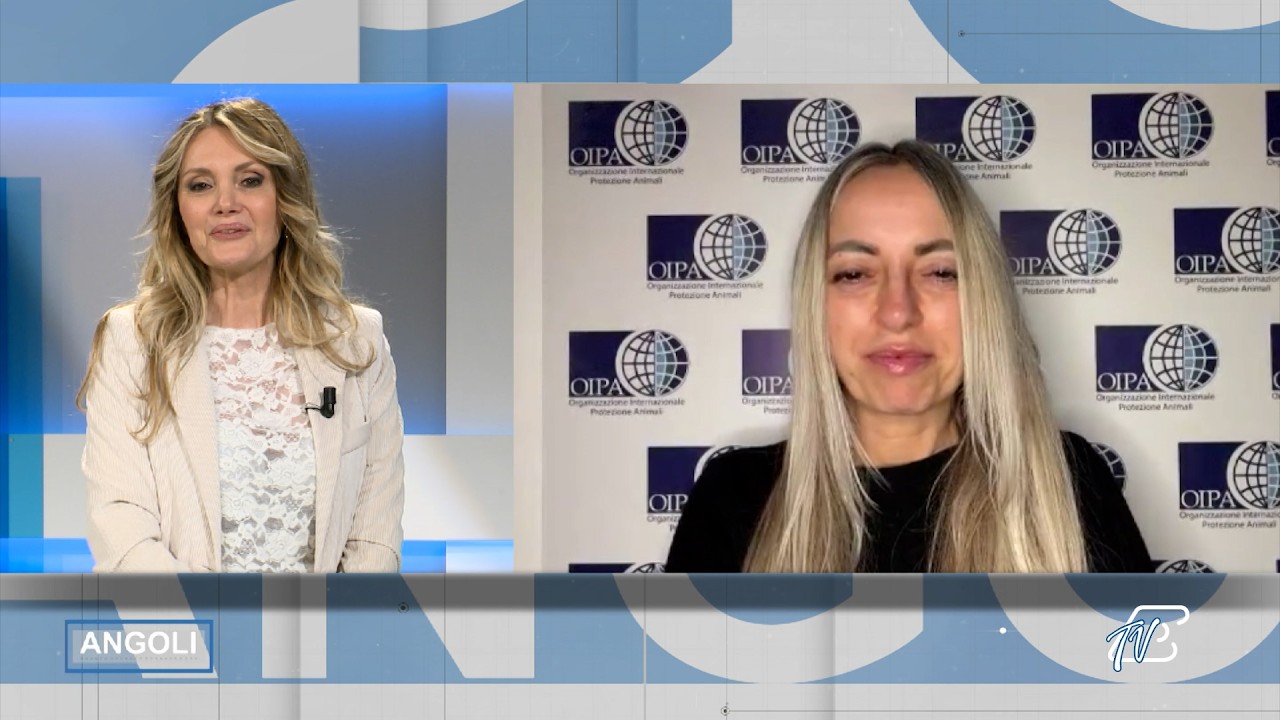 ANGOLI 12/3/2026: COME VIAGGIARE CON GLI ANIMALI - 100 ANNI DI MUSICA E STORIA