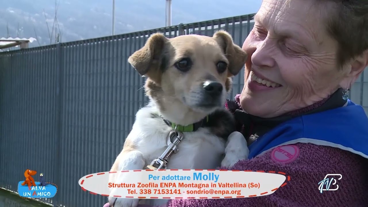 SALVA UN AMICO - 13 MARZO 2026