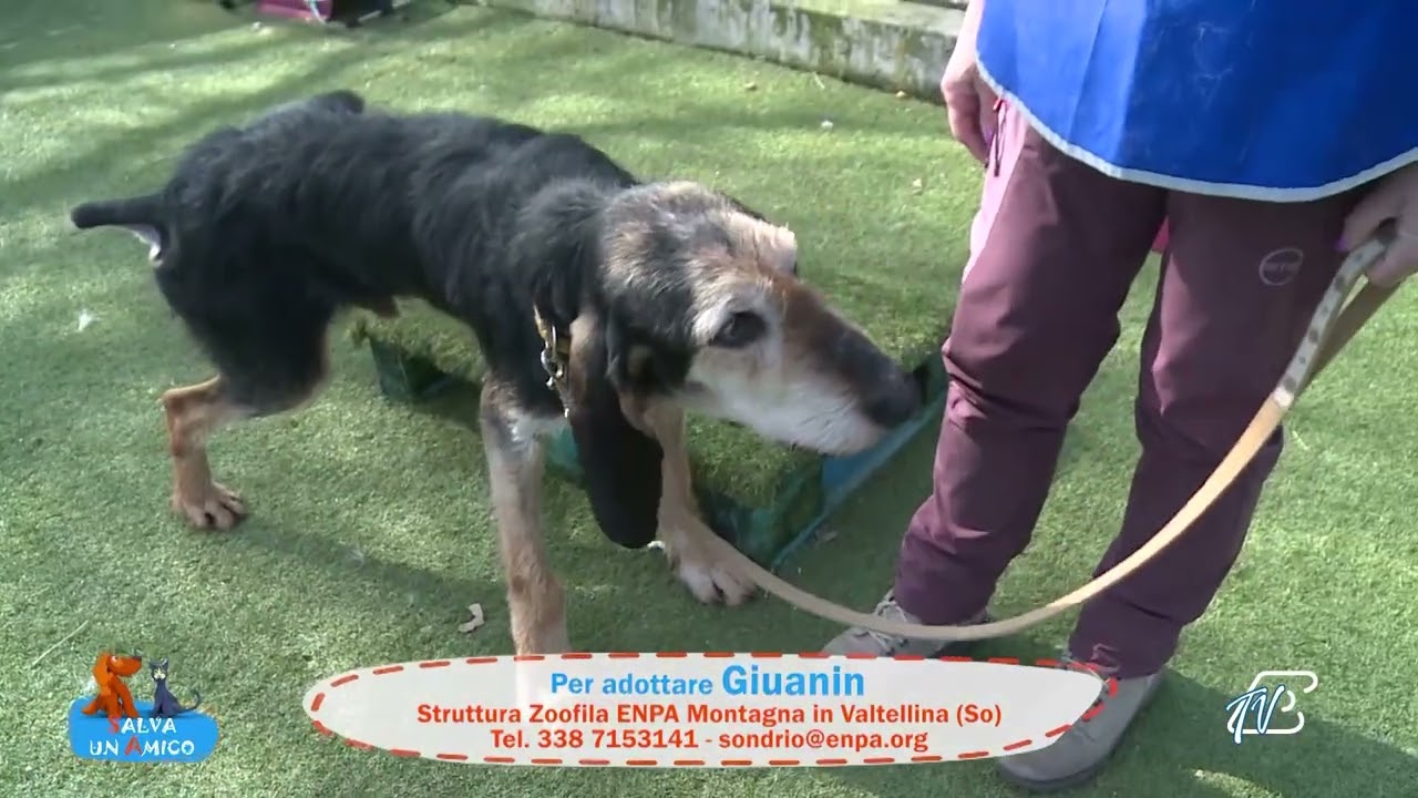 SALVA UN AMICO - 11 MARZO 2026