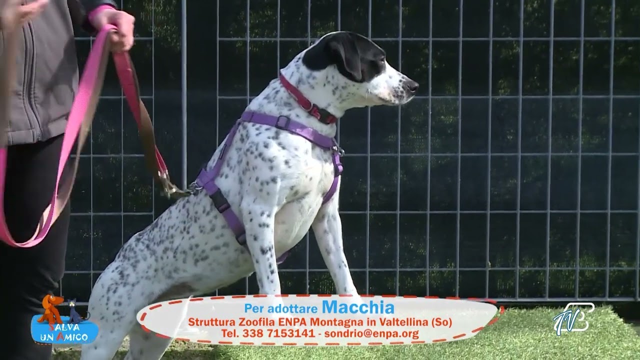 SALVA UN AMICO - 12 MARZO 2026