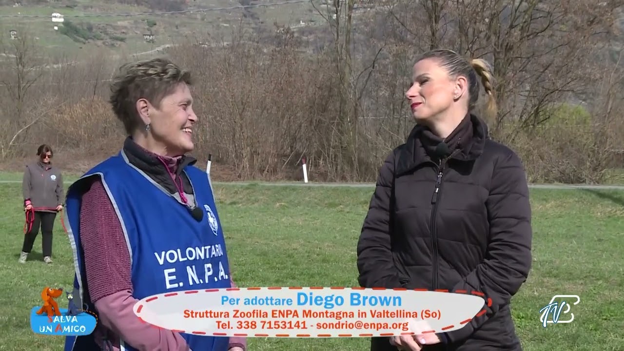 SALVA UN AMICO - 17 MARZO 2026