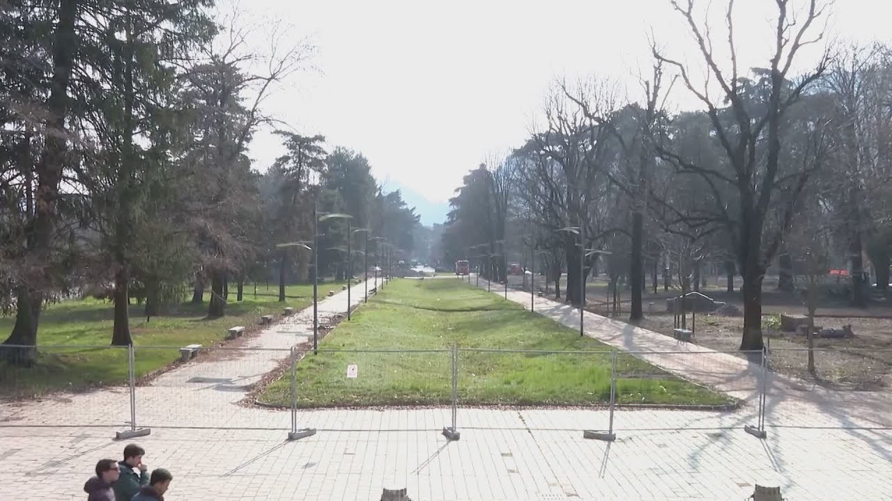 Ciliegi dei Giardini a Lago