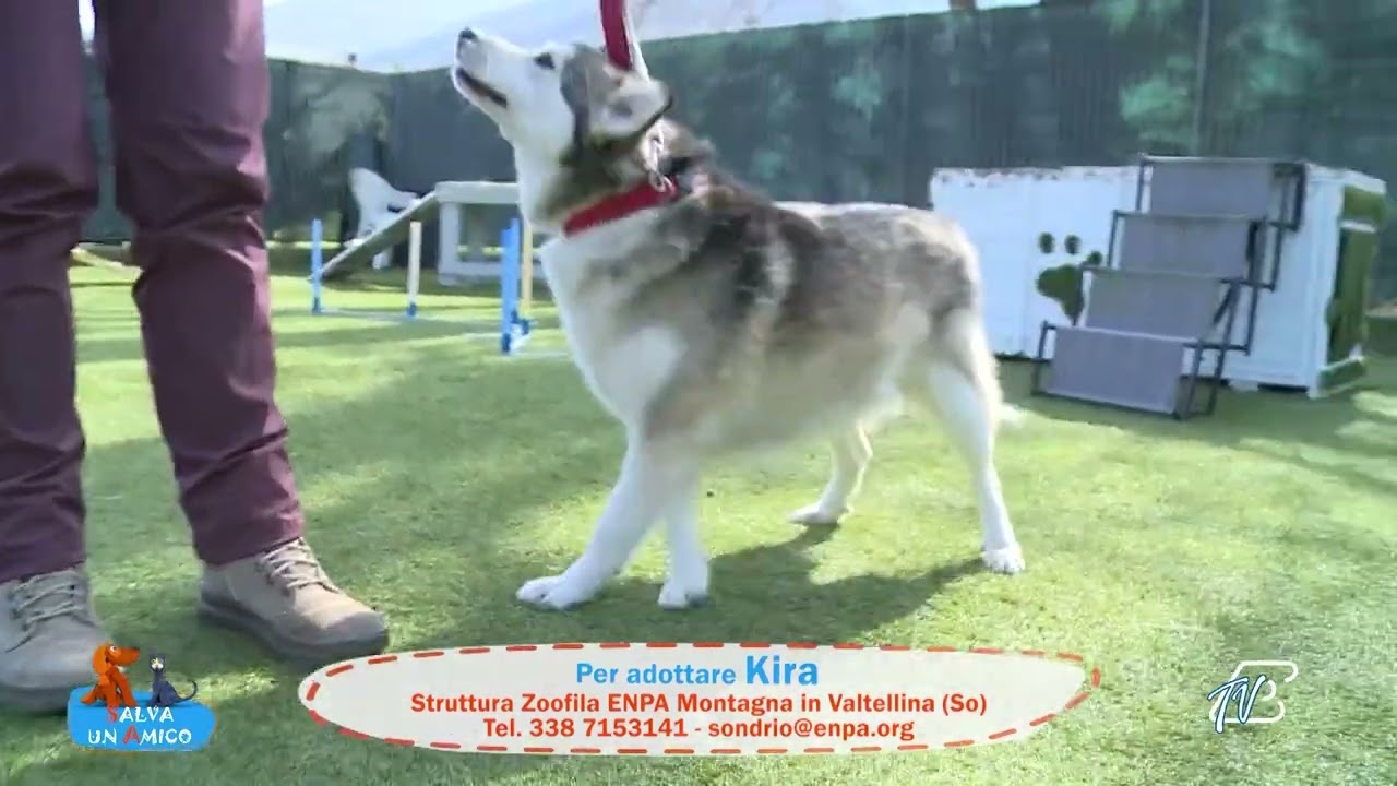 SALVA UN AMICO - 9 MARZO 2026