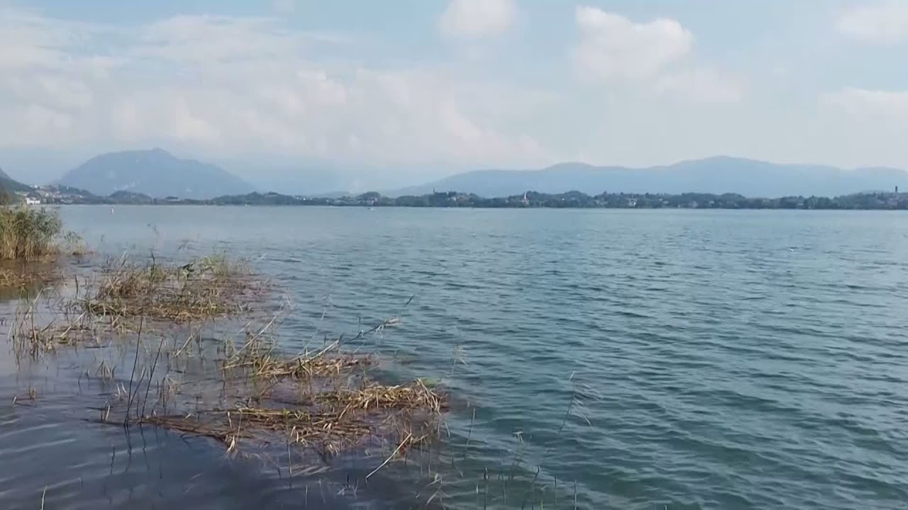 L’inquinamento del Lago di Pusiano