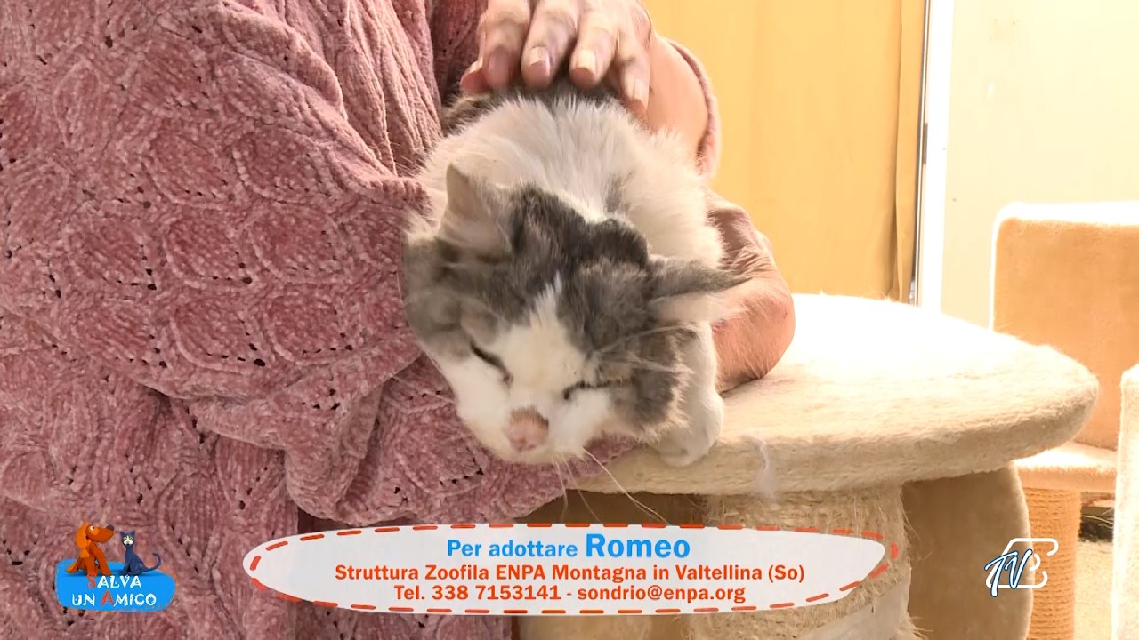 SALVA UN AMICO - 29 APRILE 2026