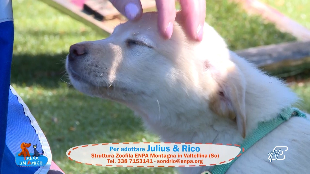 SALVA UN AMICO - 9 APRILE 2026