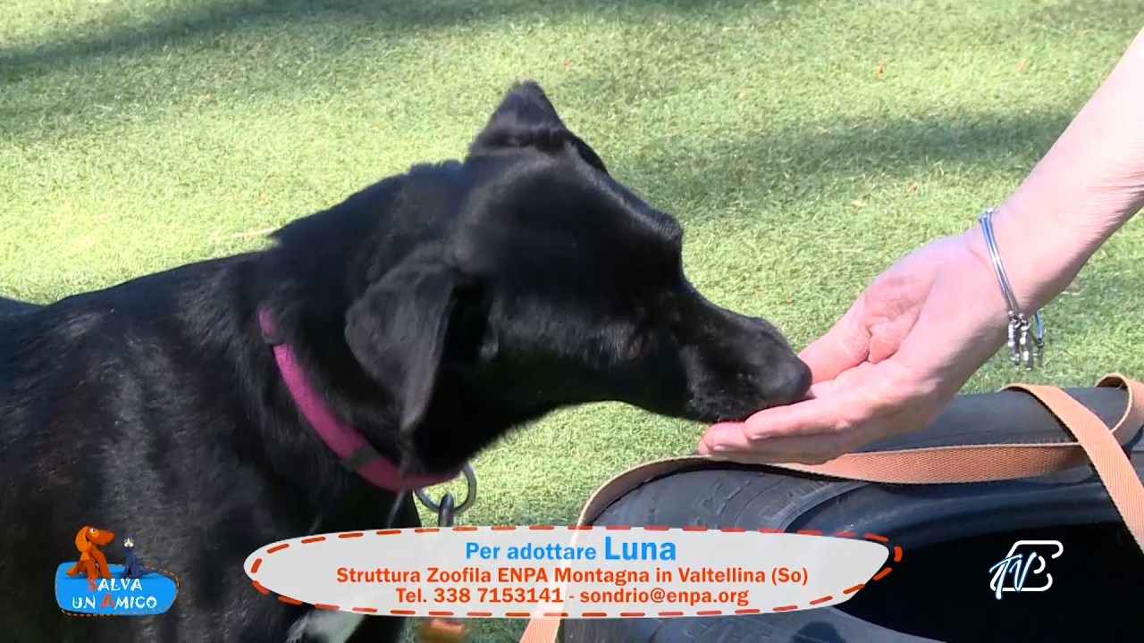 SALVA UN AMICO - 10 APRILE 2026