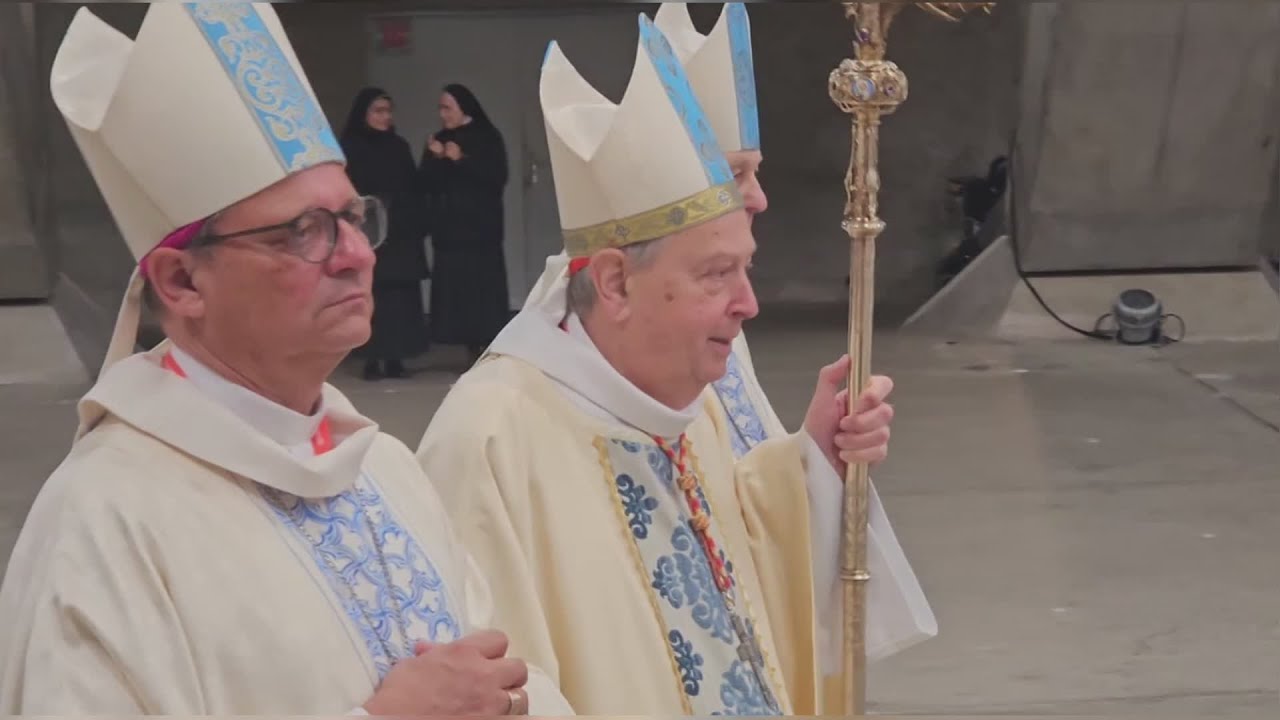 Pellegrinaggio della diocesi a Lourdes