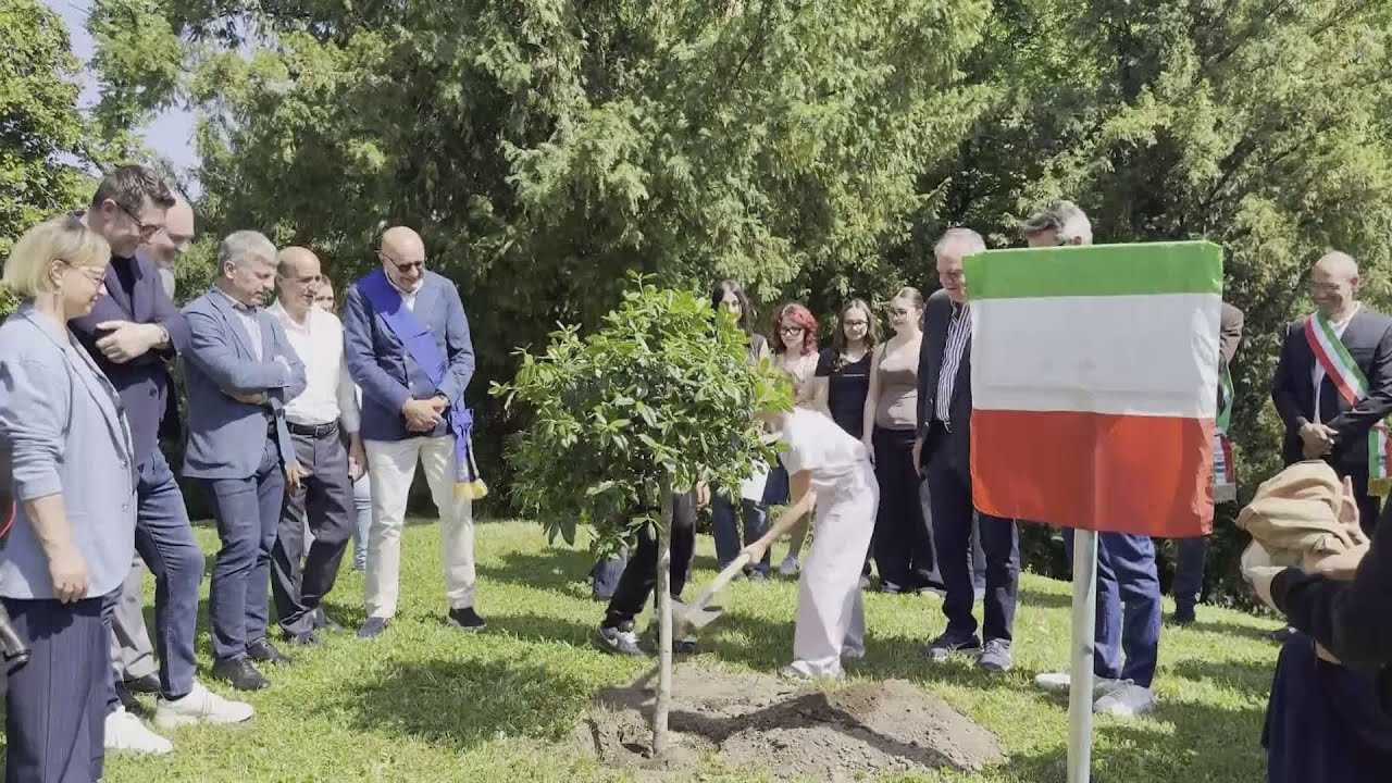 Da Palermo a Cantù un albero per il futuro