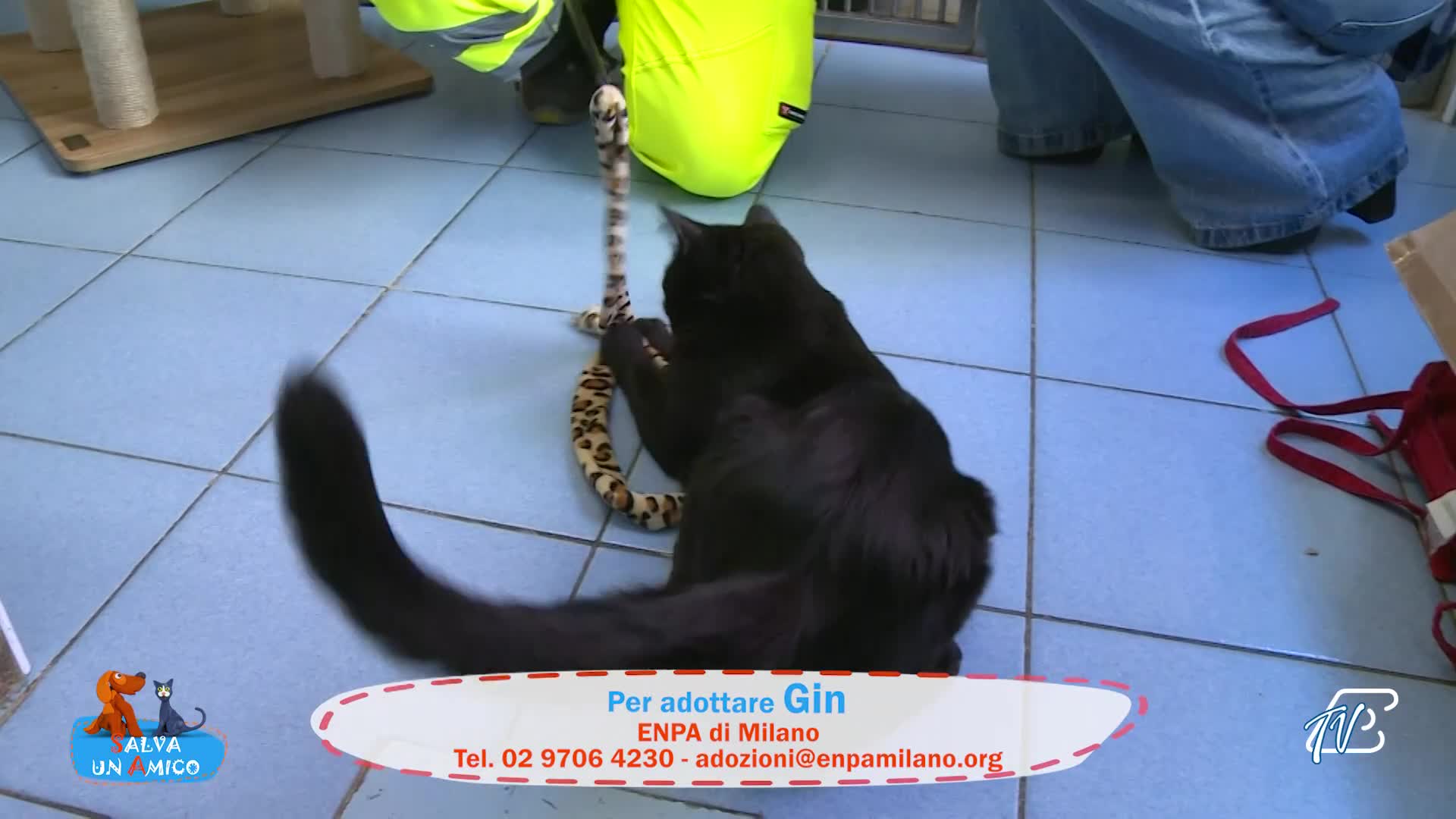 SALVA UN AMICO - 20-10-2026